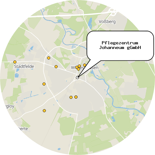 Kartenausschnitt für die Firma Pflegezentrum Johanneum gGmbH