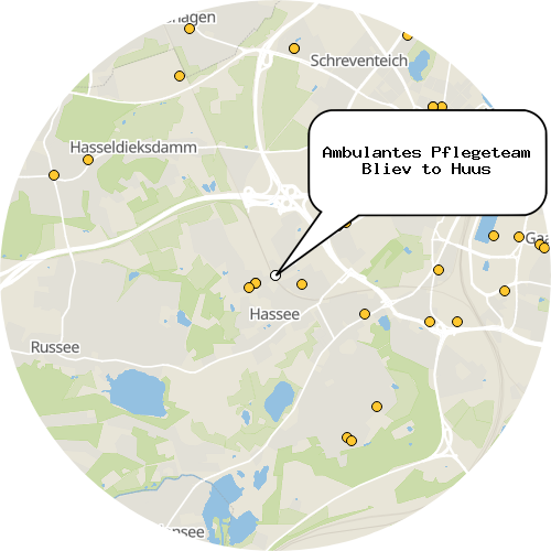 Kartenausschnitt für die Firma Ambulantes Pflegeteam Bliev to Huus