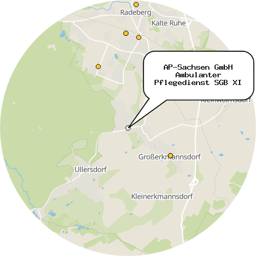 Kartenausschnitt für die Firma AP-Sachsen GmbH Ambulanter Pflegedienst SGB XI