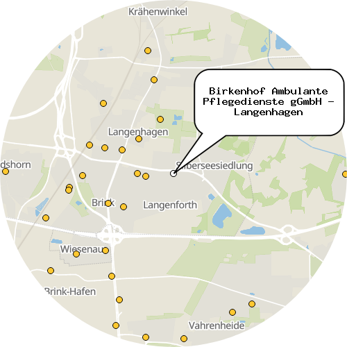 Kartenausschnitt für die Firma Birkenhof Ambulante Pflegedienste gGmbH - Langenhagen