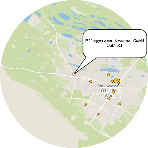 Kartenausschnitt für die Firma Pflegeteam Krause GmbH SGB XI
